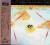 Lee Ritenour & Gentle Thoughts JAPAN CD XRCD2