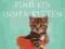 Celia Haddon: One Hundred Ways for a Cat to Find I