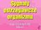 T_ V. Fintelmann: Sygnały ostrzegawcze organizmu