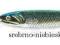 PILKER CORMORAN SEACOR Fish Head 200g 56-92201