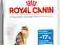 Royal Canin Light 40 - 10kg.