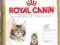 Royal Canin Maine Coon 36 Kitten - 10kg.