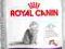 Royal Canin Sensible 33 - 10kg.