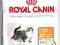 Royal Canin Hair & Skin 33 - 10kg.