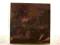 JOSEPH HAYDN . LP
