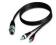 ProCab CAB704/1,5 kabel XLRf-2xRCA 1,5m