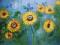 PIĘKNE OBRAZY - SŁONECZNIKI -  90x60