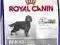 Royal canin maxi sterilised 12 kg
