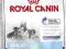 Royal canin maxi starter mother&babydog 15kg
