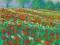 P. Walkowiak  - Makowe  pole   40x60  olejny