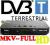 Tuner dekoder DVB-T CANVA-T261 MPEG-4 PVR MKV EAC3