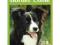 The Complete Border Collie - Barbara Swann UNIKAT!