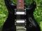 Guitar Heaven PRS Standard 24 Brazilian Custom USA