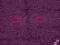 Chodnik Dywan Shaggy Loca Violet 100x100