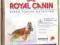 Royal Canin Cocker25 adult 3kg spaniel