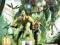 Enslaved Odyssey to the West PS3 /SKLEP MERGI