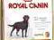 Royal Canin Labrador adult  12 kg sterylizowane
