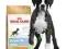 Royal Canin Boxer Junior 12 kg szczeniak