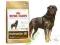 Royal Canin Rottweiler 26 adult 12 kg karma