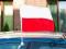 flaga samochodowa car flag LUBLIN flagi HURT tanio