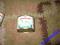 ROYAL CANIN STARTER MOUSSE 195g NOWY
