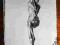 akrobatka na trapezie 50x70cm rysunek odreczny