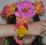 Wianek+opaska na rękę bal WIOSNA Wróżka kwiatowa