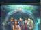 STARGATE ATLANTIS sezon 1 - BOX 8 płyt DVD