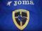 BLUEBIRDS - WALES - JOMA - OKAZJA!