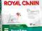 ROYAL CANIN MINI JUNIOR - 8kg. Warszawa