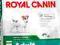 Royal Canin, MINI ADULT - 8kg.