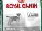 Royal Canin, MINI STERILISED - 7,5kg.