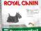 Royal Canin, MINI DERMACOMFORT, 10kg.