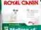 Royal Canin, MINI MATURE +8, 8kg.