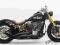 Harley- Davidson Fireweed Inc Rebel custom made