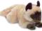 ANNA CLUB plush --KOT-- 23.179.003