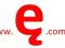 www.ę.com.pl                   ( xn--nea.com.pl )