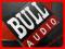 BULL AUDIO SW-12 SUBWOOFER 30cm Promo +Gratis