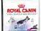 Royal Canin Maxi Adult 15kg GLIWICE !