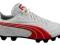 Buty PUMA Quaranta RHG 46 Lanki