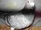 gołąb super gołębie rozplodowe samiec LTU 2001