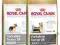 royal canin yorkshire terrier adult + gratis