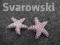 GWIAZDKI na GWIADZKĘ swarowski LAFAYETTE