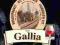Brewferm - Gallia - Belgian Ale PIWO DOMOWE