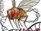 Drosophila_muszki nielotne Melanogaster PROMOCJA