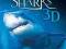 Sharks 3D