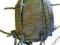 PLECAK PATROLOWY MOLLE - ZIELONY, OLIV