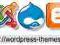 Wordpress, Joomla, Drupal szablony