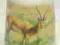 Antelopes-porcelanowy naparstek England TCC