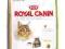 ROYAL CANIN MAINE COON ADULT 4kg + WIADRO + KURIER